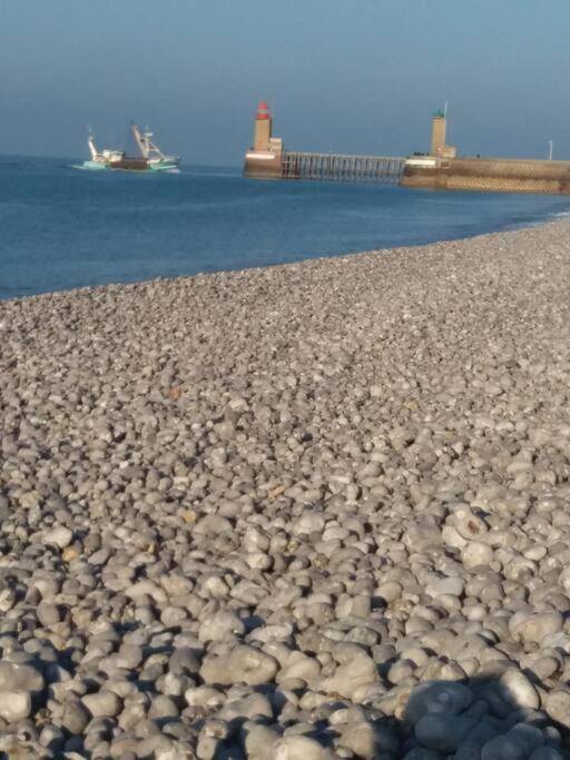 Le Chant Des Mouettes A 300 M De La Mer Et Du Port Fécamp Εξωτερικό φωτογραφία